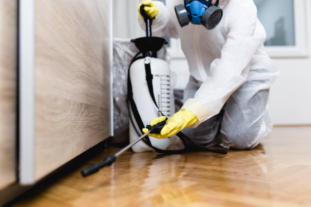 Best Emergency Pest Control  in Herlong, CA