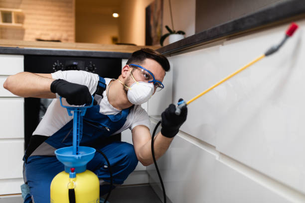 Professional Pest Control in Herlong, CA