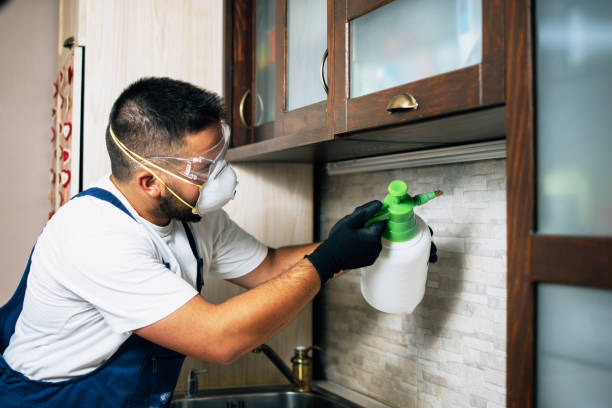 Best Termite Control Services  in Herlong, CA
