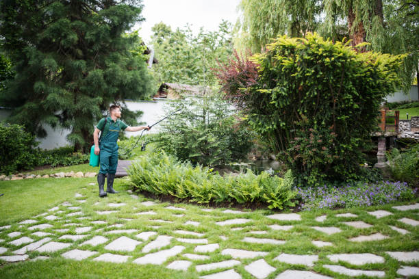 Best Pest Control Treatment  in Herlong, CA