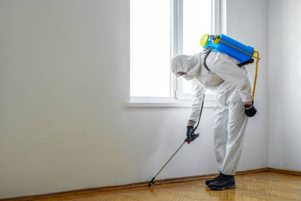 Best Residential Pest Control  in Herlong, CA