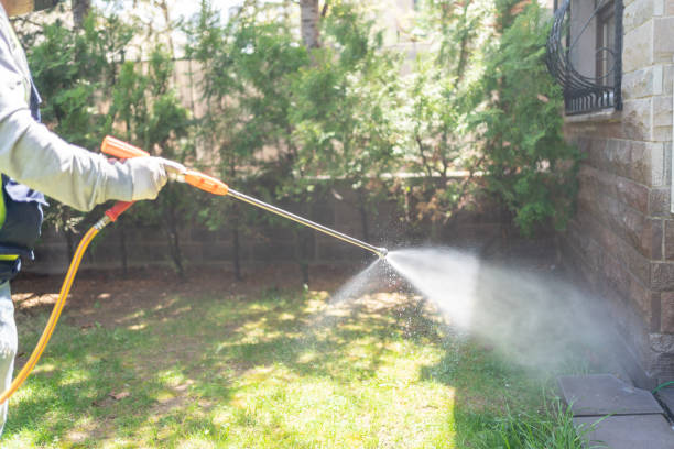Best Affordable Pest Control Services  in Herlong, CA
