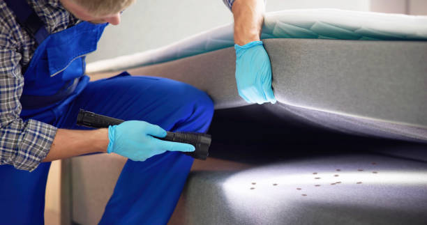 Best Exterminator Services  in Herlong, CA