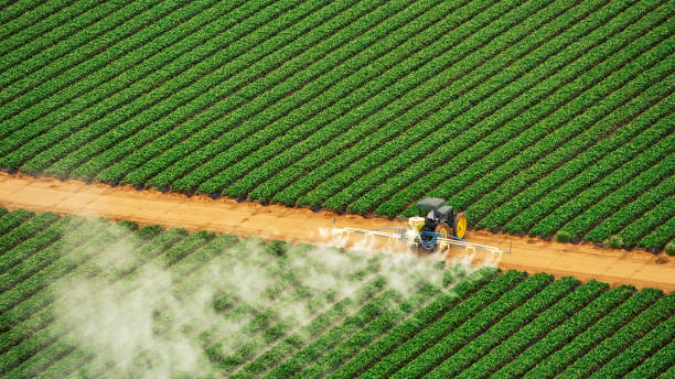 Best Commercial Pest Control Services  in Herlong, CA