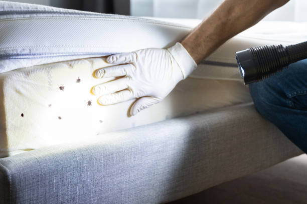 Flea Control Services in Herlong, CA