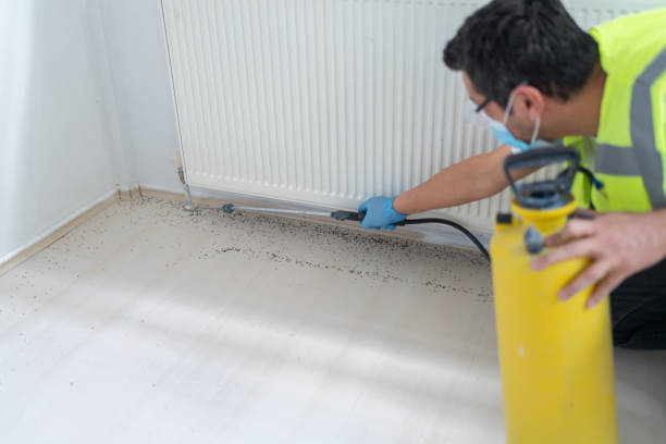 Pest Control for Restaurants in Herlong, CA