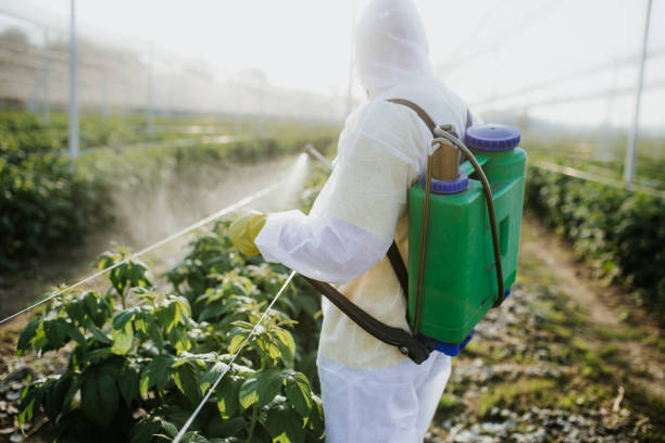 Best Mosquito Control Services  in Herlong, CA